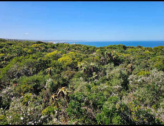 2,779M² VACANT LAND FOR SALE IN SPRINGERBAAI ECO ESTATE